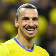 Zlatan Ibrahimovic Sverige